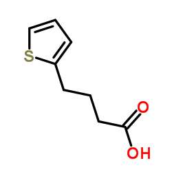 4-(2-Thienyl)butyric Acid Cas:4653-11-6 第1张