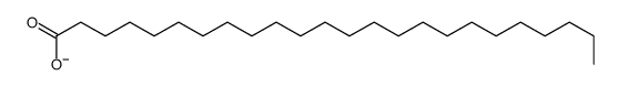 tetracosanoate CAS:46927-71-3 第1张