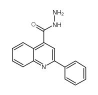 2-phenylquinoline-4-carbohydrazide