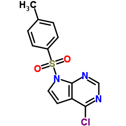 4-CHLORO-7-TOSYL-7H-PYRROLO[2,3-D]PYRIMIDINE CAS:479633-63-1 manufacturer price 第1张