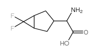 amino-6,6-difluoro-bicyclo[3.1.0]hexane-3-acetic acid