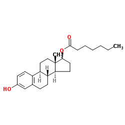 Oestradiol 17-heptanoate CAS:4956-37-0 第1张