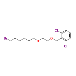 Benzene, 2-[[2-[(6-broMohexyl)oxy]ethoxy]Methyl]-1,3-dichloro CAS:503070-57-3 manufacturer price 第1张