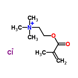 methacrylatoethyl trimethyl ammonium chloride CAS:5039-78-1 manufacturer price 第1张