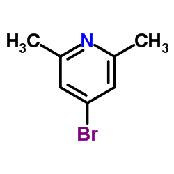 4-Bromo-2,6-dimethylpyridine Cas:5093-70-9 第1张