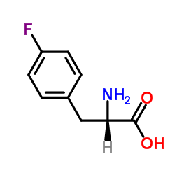 4-fluorophenylalanine manufacturer in India China