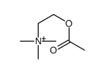 acetylcholine