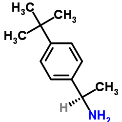 (1R)-1-(4-tert-Butylphenyl)ethanamin