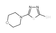 5-morpholin-4-yl-1,3,4-thiadiazole-2-thiol