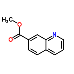 Methyl Quinoline-7-carboxylate CAS:51552-68-2 manufacturer price 第1张