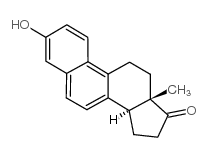 equilenin