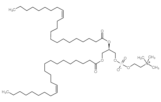 1,2-Dierucoyl-sn-glycero-3-phosphocholine