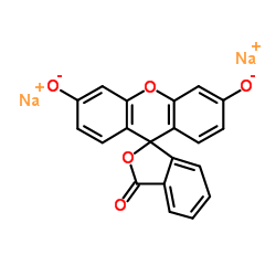 fluorescein sodium salt CAS:518-47-8 manufacturer price 第1张