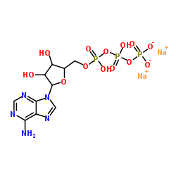 adenosine 5′-triphosphate disodium salt CAS:51963-61-2 manufacturer price 第1张