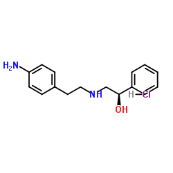 (alphaR)-alpha-[[[2-(4-Aminophenyl)ethyl]amino]methyl]benzenemethanol Hydrochloride Cas:521284-22-0 第1张