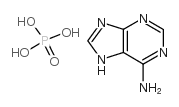 Adenine Phosphate(1:x) Cas:52175-10-7 第1张