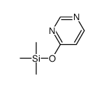 4-[(Trimethylsilyl)oxy]pyrimidine