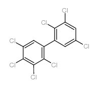 2,2',3,3',4,5,5'-Heptachlorobiphenyl