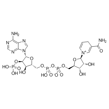 Β-Nicotinamide Adenine Dinucleotide Phosphate NADP