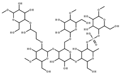 Starch, Hydrogen Phosphate, 2-Hydroxypropyl Ether