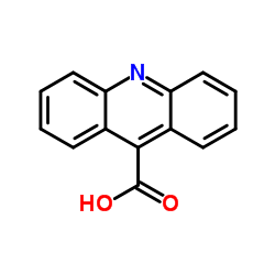 Acridine-9-carboxylic Acid Hydrate Cas:5336-90-3 第1张