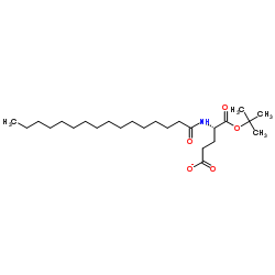 N-(1-Oxohexadecyl)-L-glutaMic Acid tert-Butyl Ester