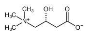 l-carnitine Cas:541-15-1 第1张