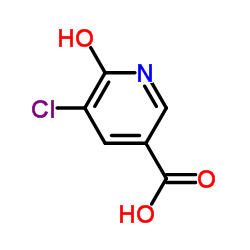 5-Chloro-6-hydroxynicotinic acid