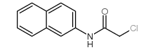 2-chloro-N-naphthalen-2-ylacetamide