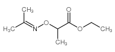 ethyl 2-(propan-2-ylideneamino)oxypropanoate