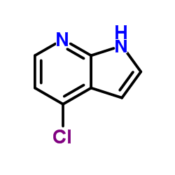 4-Chloro-7-azaindole CAS:55052-28-3 manufacturer price 第1张