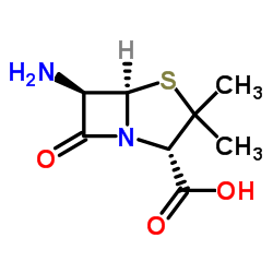 6-aminopenicillanic acid Cas:551-16-6 第1张