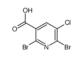 2,6-dibromo-5-chloropyridine-3-carboxylic acid