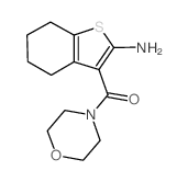 (2-amino-4,5,6,7-tetrahydro-1-benzothiophen-3-yl)-morpholin-4-ylmethanone CAS:554405-87-7 第1张