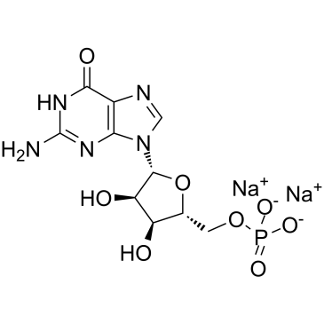 Guanosine 5''-monophosphate Disodium Salt(GMP-Na2) Cas:5550-12-9 第1张