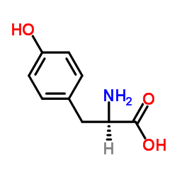 D-Tyrosine CAS:556-02-5 manufacturer price 第1张