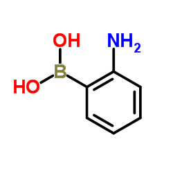 2-Aminophenylboronic acid CAS:5570-18-3 manufacturer price 第1张