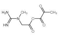 Creatine pyruvate