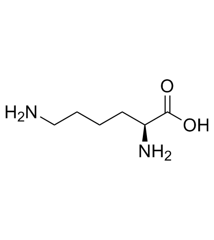 l-lysine base Cas:56-87-1 第1张