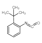 1-tert-butyl-2-isocyanatobenzene