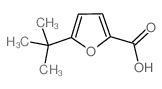 5-tert-butylfuran-2-carboxylic acid