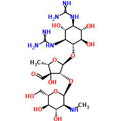 streptomycin