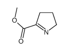 Methyl 3,4-dihydro-2H-pyrrole-5-carboxylate