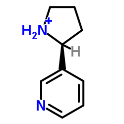 3-(2-Pyrrolidinyl)pyridine Cas:5746-86-1 第1张