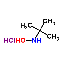 n-(tert-butyl)hydroxylamine hydrochloride CAS:57497-39-9 manufacturer price 第1张