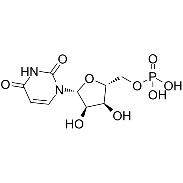 Uridine 5'-monophosphate(UMP-H) Cas:58-97-9 第1张