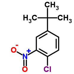 4-tert-Butyl-1-chloro-2-nitrobenzene