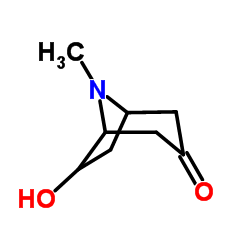 (+-)-exo-6-Hydroxytropinone CAS:5932-53-6 manufacturer price 第1张