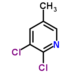 2,5-Dichoro-3-picoline CAS:59782-90-0 第1张