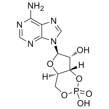Adenosine 3',5'-cyclic Monophosphate (CAMP) Cas:60-92-4 第1张